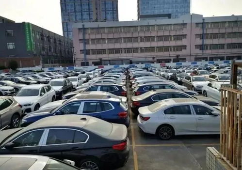 汽車廠賣不出的庫存車，最終流向何方？購車者須知