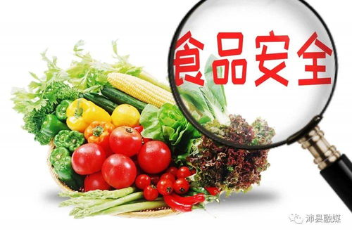 沛縣餐飲經(jīng)營主體表彰名單公布，35家獲省級(jí)點(diǎn)贊